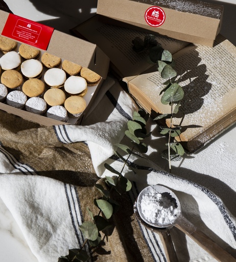 ALFAJORES MINI SURTIDO X 20