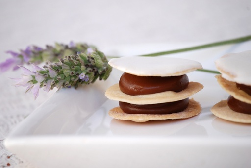 MINI ALFAJORCITO X20